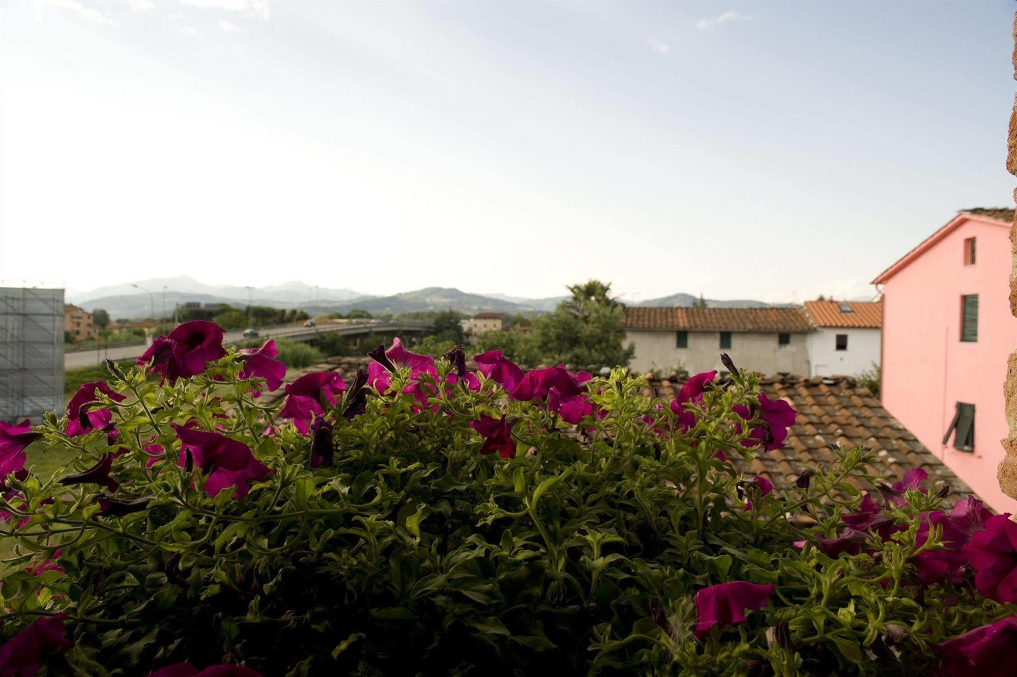 Guest house New! -verderame & In 3*